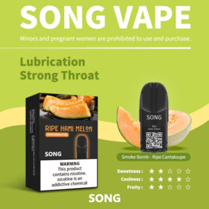 SONG-C02-印尼版-熟哈密瓜-20230720