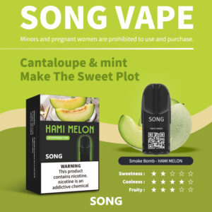 SONG-C02-印尼版-生哈密瓜-20230720