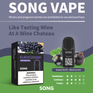 SONG-C02-印尼版-黑加仑-20230720